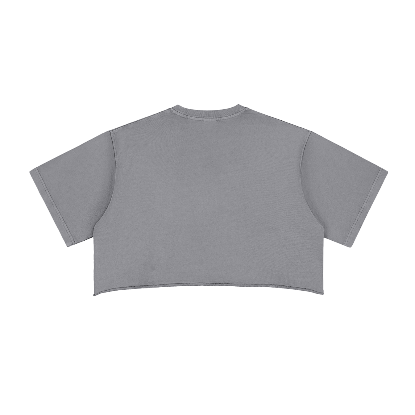 Amenity 2014 Crop Top (Grey)