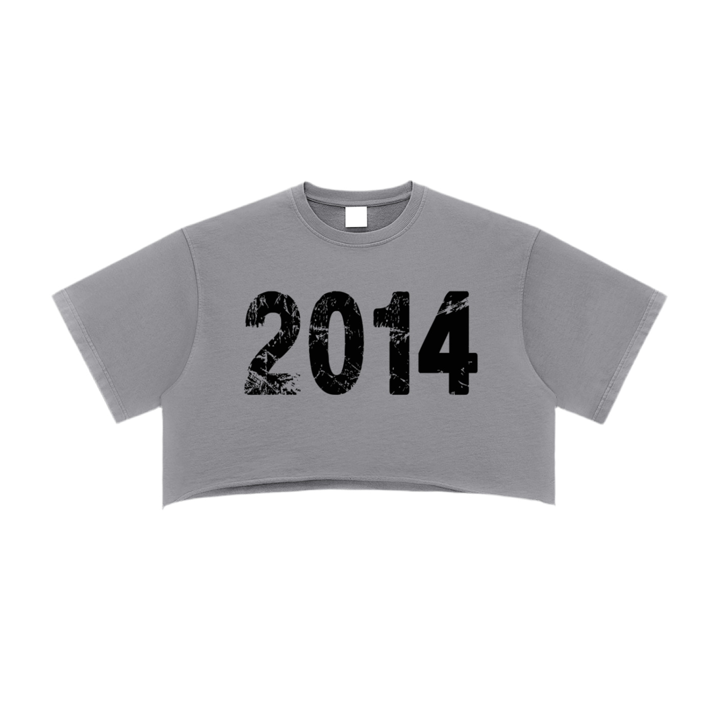 Amenity 2014 Crop Top (Grey)