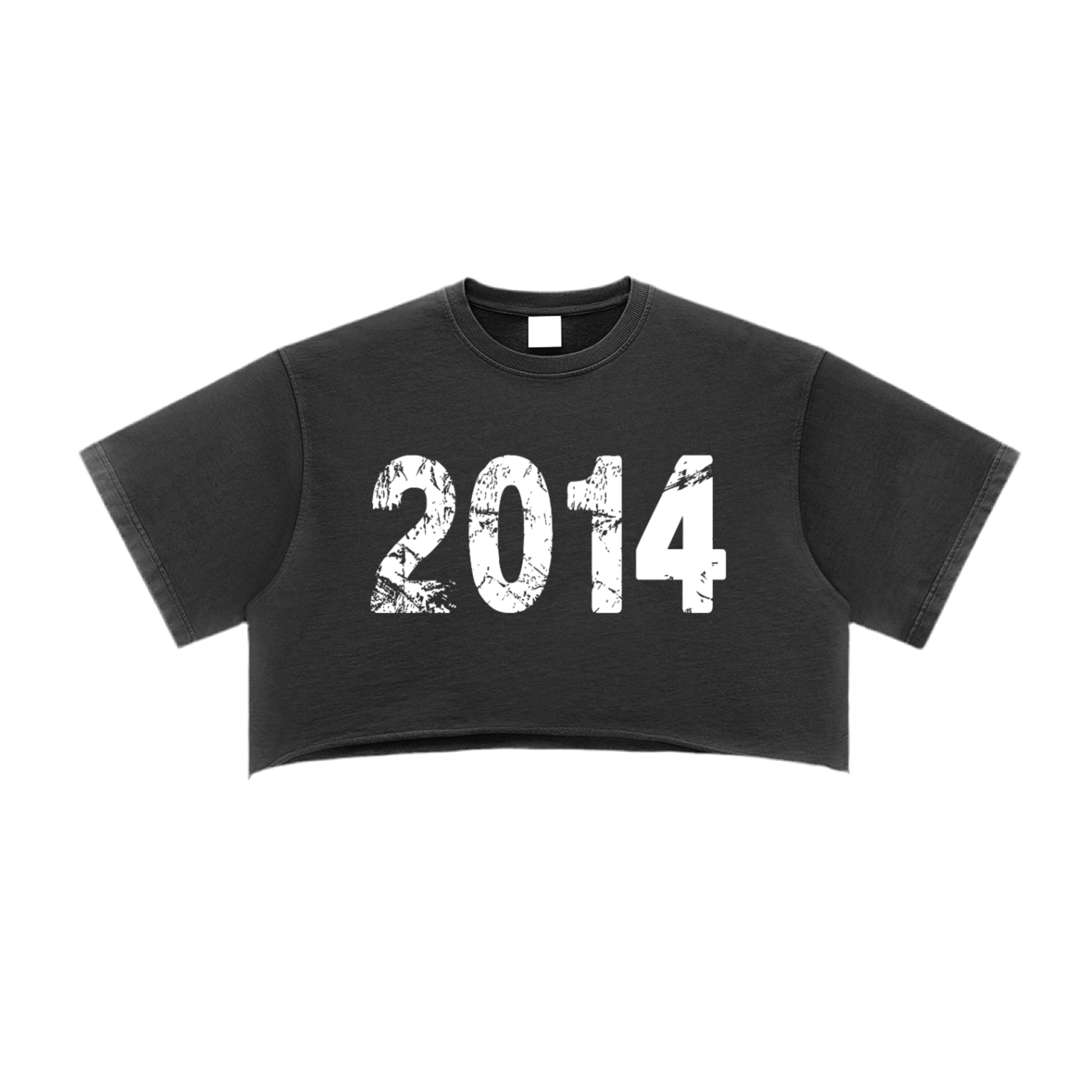 Amenity 2014 Crop Top (Black)
