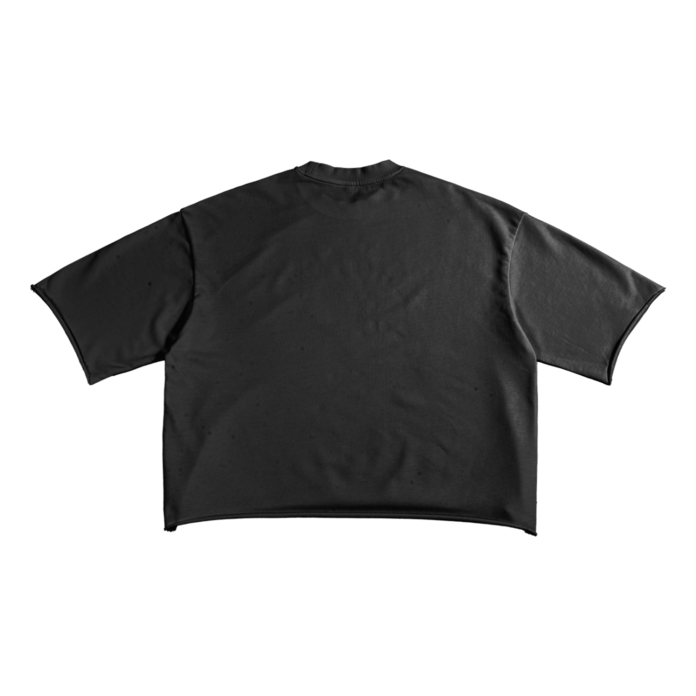 Amenity 2014 Boxy Tee