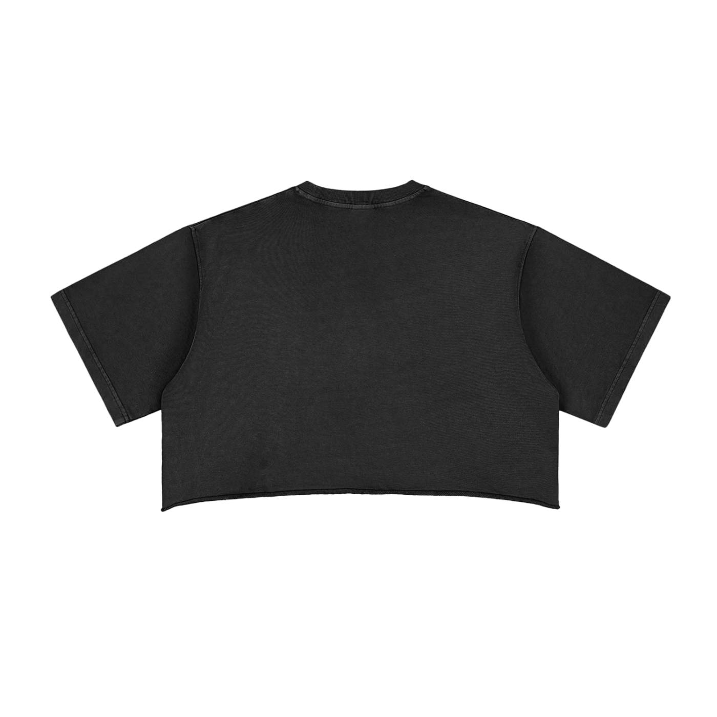 Amenity 2014 Crop Top (Black)